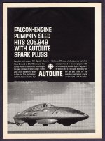 The Pumpkin Seed Falcon 144 Six Powerd.jpg