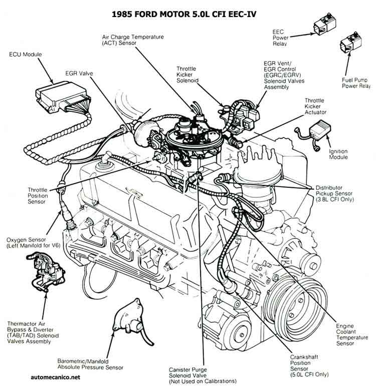 esqford5812.jpg