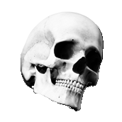 thecoffinmuffler.com
