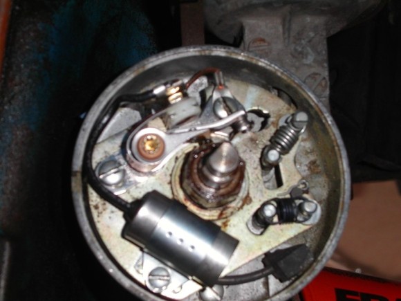 m36314047.jpg