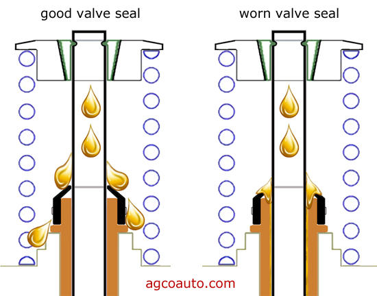 oil_consumption_valve_guide_seals.jpg